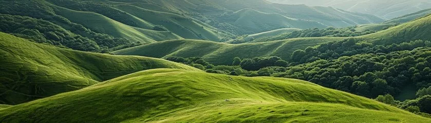 Fototapeta Kontrastujące twarde, nierówne góry z miękkimi, trawiastymi wzgórzami podkreśla naturalne zróżnicowanie terenu