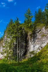 Fototapeta Dolina Chochołowska Tatry