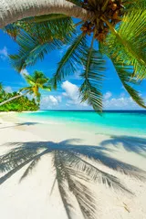Obraz Rajska Plaża z Palmami