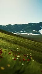 Fototapeta panoramiczny widok na alpejski krajobraz górski w Alpach