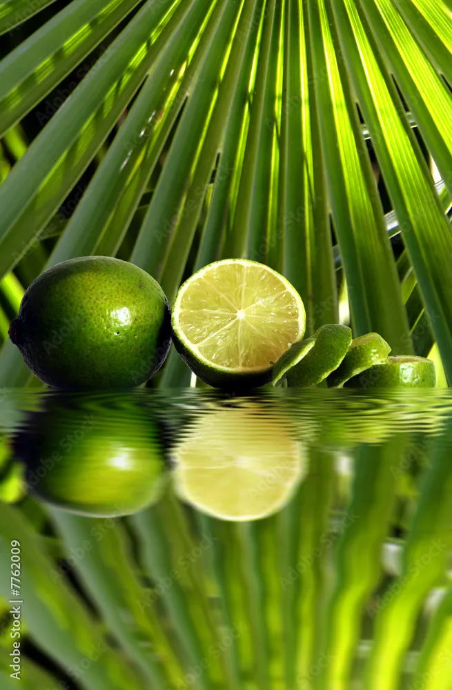 Obraz Egzotyczna Świeżość Limonki