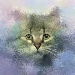 Obraz Artystyczny Portret Kota