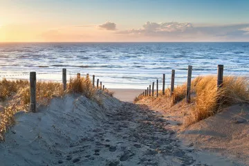 Obraz Malownicza Ścieżka na Plażę o Zachodzie Słońca