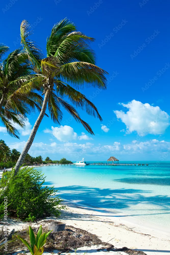 Fototapeta plaża