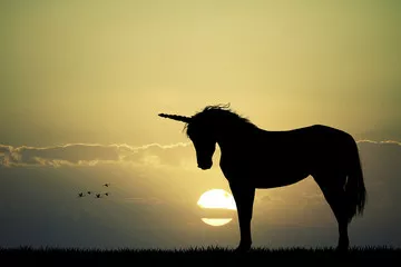 Fototapeta Silhouette jednorożca