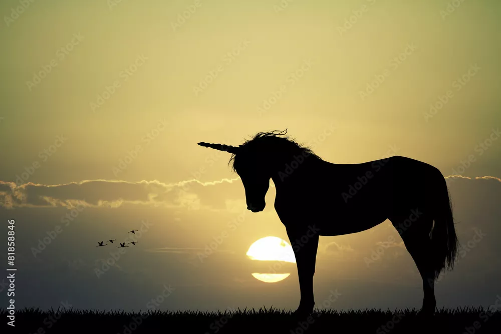 Fototapeta Silhouette jednorożca