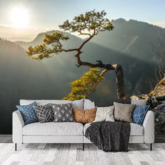 Obraz na płótnie w salonie