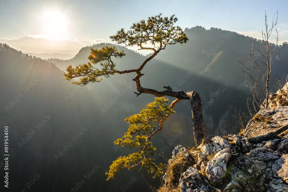 Fototapeta Magiczny Wschód Słońca w Górach