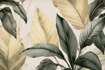 Fototapeta Vintage botaniczna ilustracja liści tropikalnych, tapeta w stylu boho