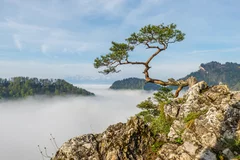Fototapeta Magiczne Góry w Chmurach: Dzika Natura Pienin