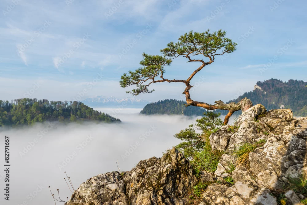 Fototapeta Magiczne Góry w Chmurach: Dzika Natura Pienin
