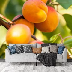 Obraz na płótnie w salonie