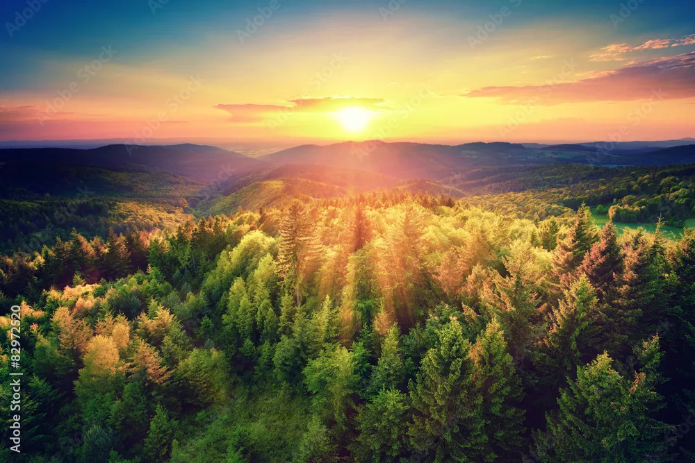 Fototapeta Malowniczy zachód słońca nad lasem