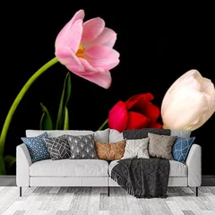 Obraz na płótnie w salonie