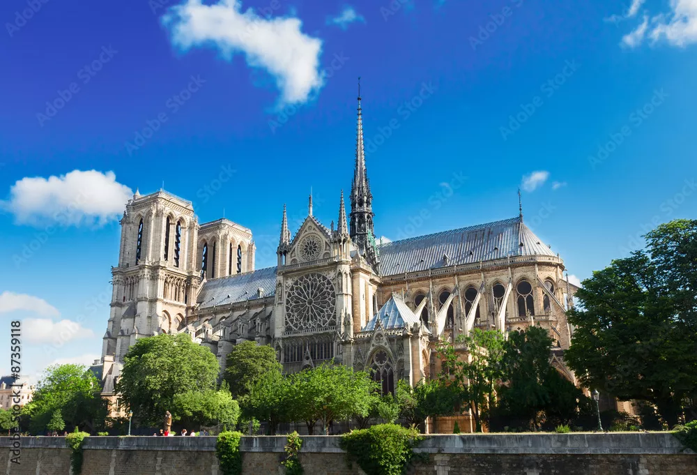 Fototapeta Katedra Notre Dame, Paryż, Francja