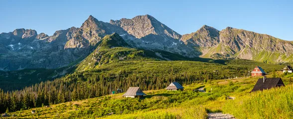 Fototapeta Hala Gąsienicowa - Tatry