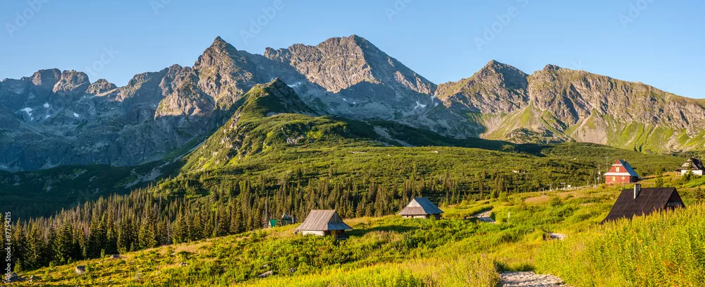 Fototapeta Hala Gąsienicowa - Tatry