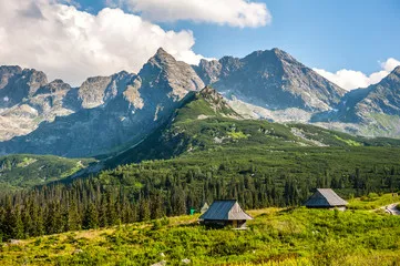 Fototapeta Hala Gąsienicowa - Tatry