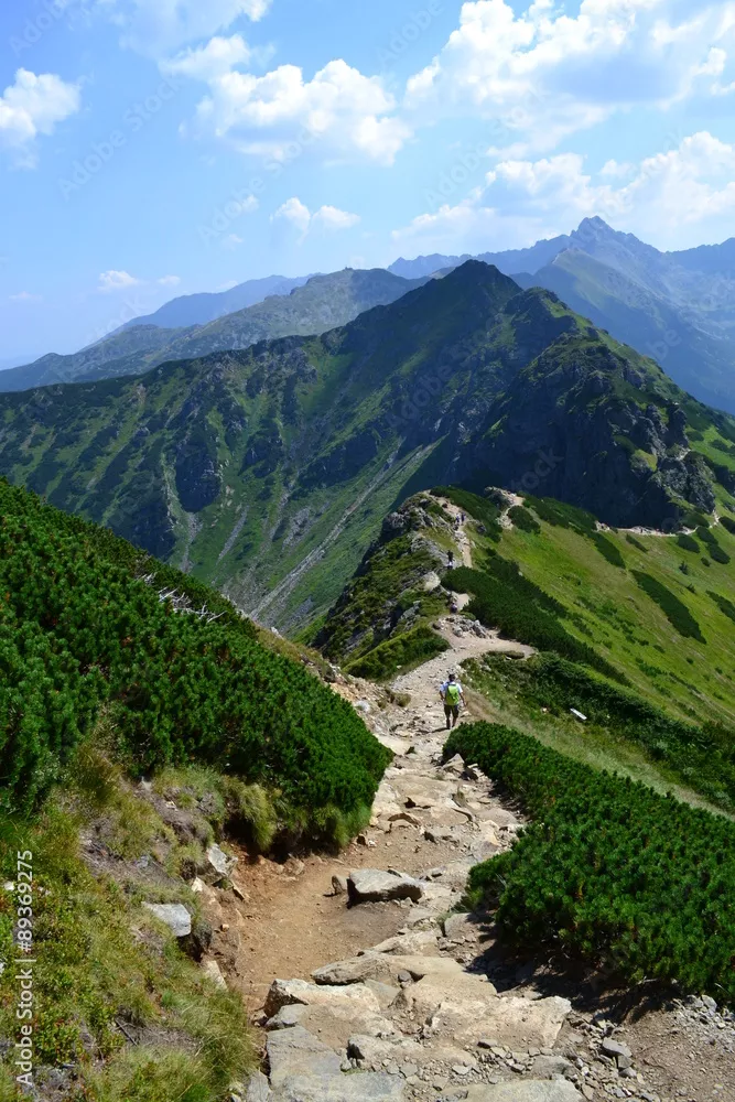 Fototapeta góry Tatry