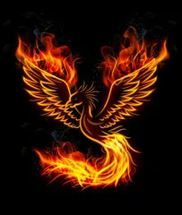 Fototapeta Ogień płonący ptak Phoenix z czarnym tłem