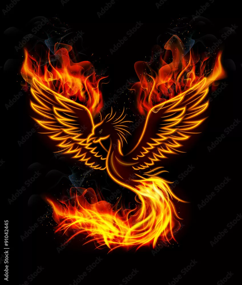 Fototapeta Ogień płonący ptak Phoenix z czarnym tłem