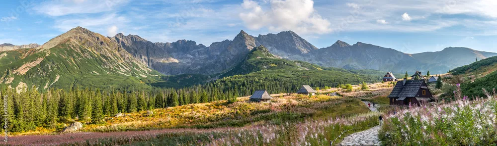 Fototapeta Hala Gasienicowa in Tatra Mountains - panorama