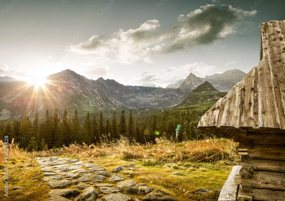 Fototapeta Hala Gąsienicowa - Tatry, Zakopane, Polska
