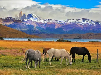 Fototapeta Imponujący krajobraz w Chile