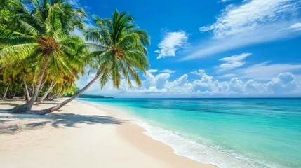 Obraz Egzotyczna Plaża z Błękitnym Niebem i Palmami