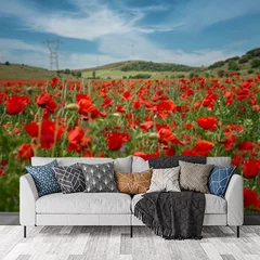 Obraz na płótnie w salonie