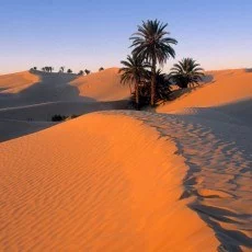 Obrazy pustyni
