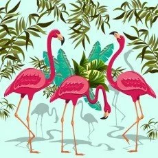 Obrazy z Flamingami