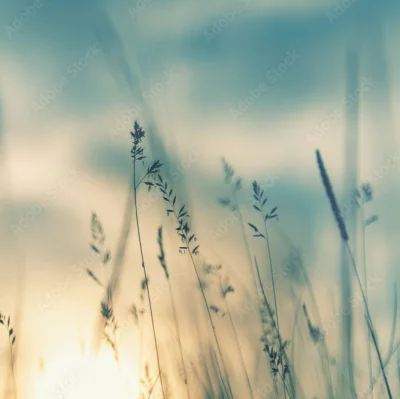 Natura