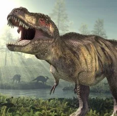 Obrazy Dinozaurów