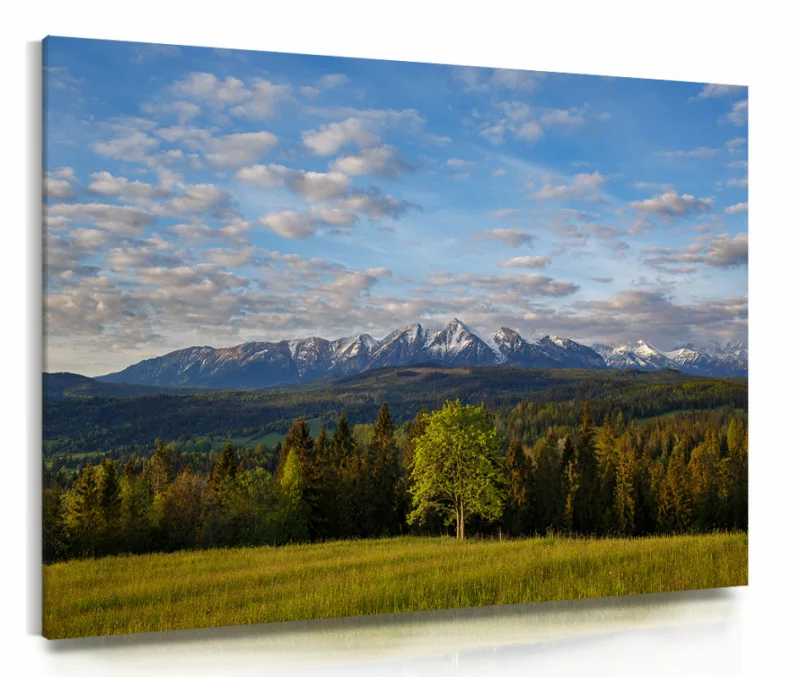 Obraz drukowany ma płótnie - Tatry - obrazek 1