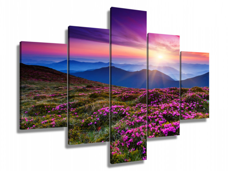 Obraz 5-częściowy - zach&oacute;d słońca