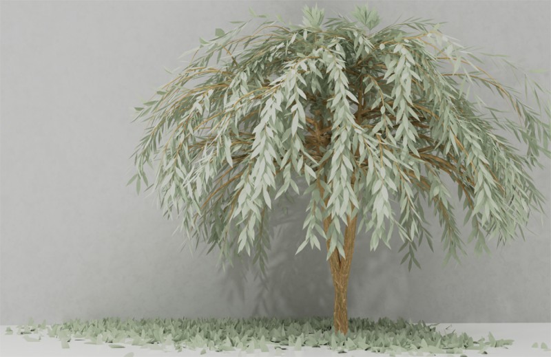 Fototapeta 3D Koruna stromu svetlo zelená