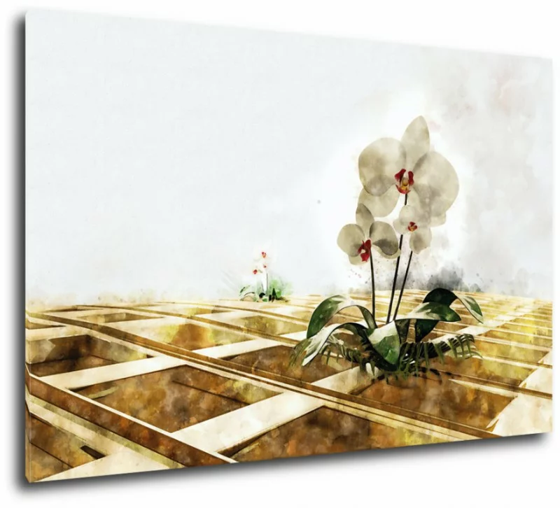 Obraz na płótnie osamotnione orchidee - obrazek 1