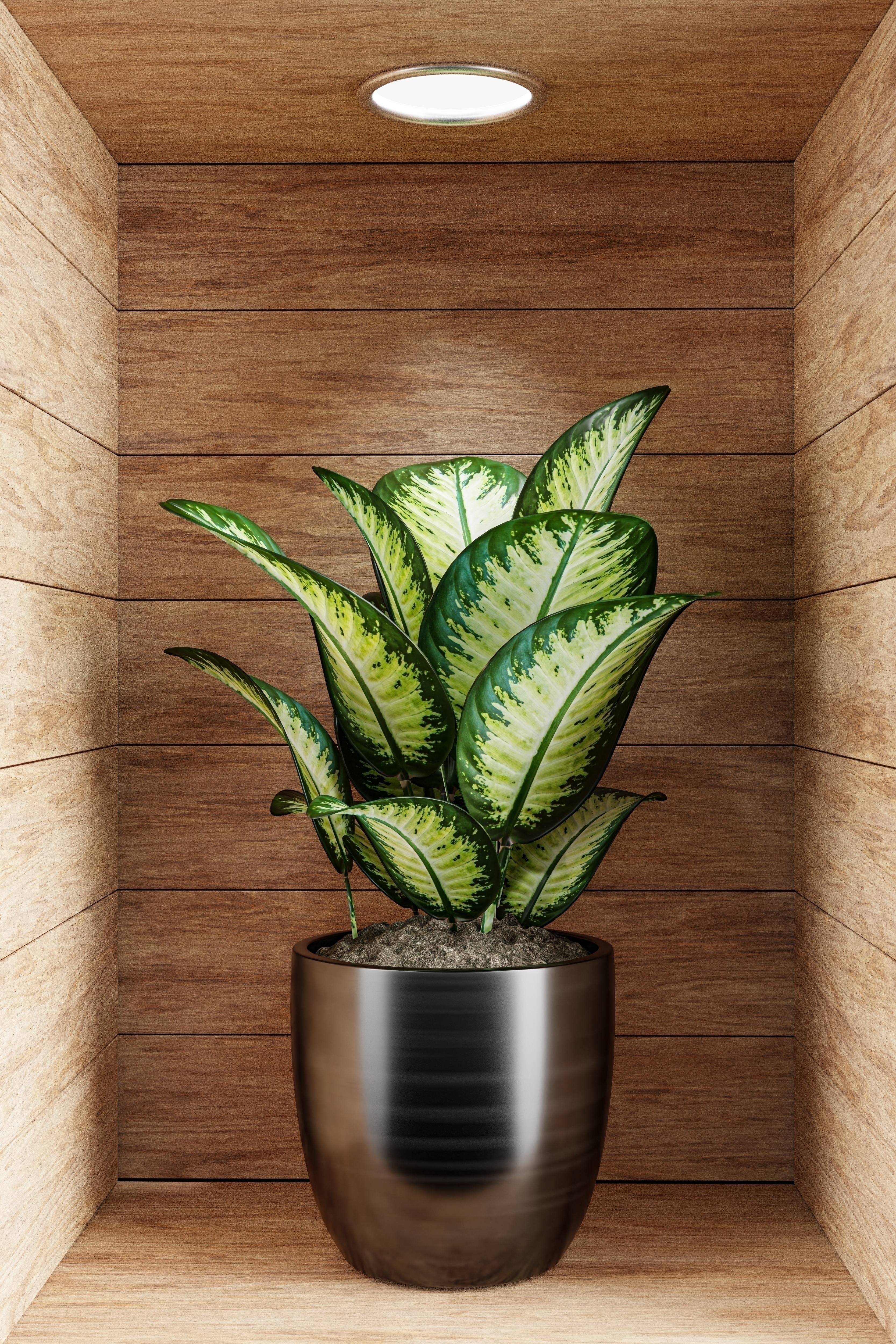 Obraz 3D - kwiat w drewnianej wnęce VIII