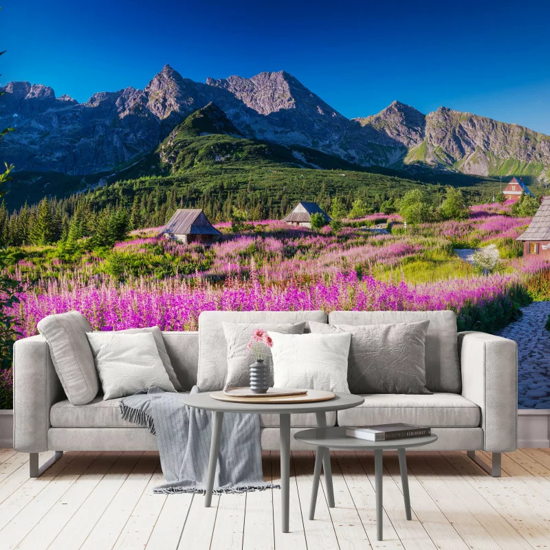 Duża fototapeta na ścianę - Hala Gąsienicowa w Tatrach - obrazek 1