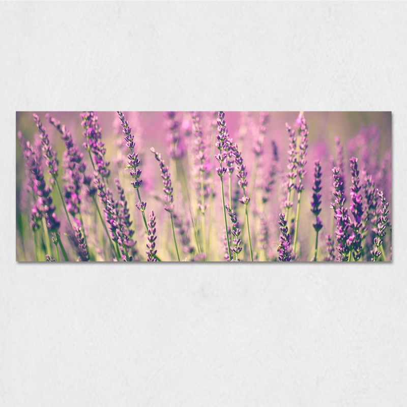 Obraz na szkle - lawenda