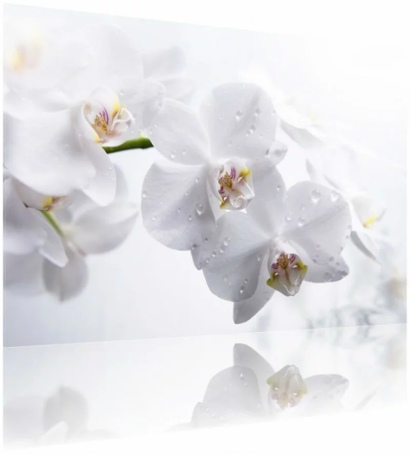 Obraz szklany - zroszone białe orchidee - obrazek 1