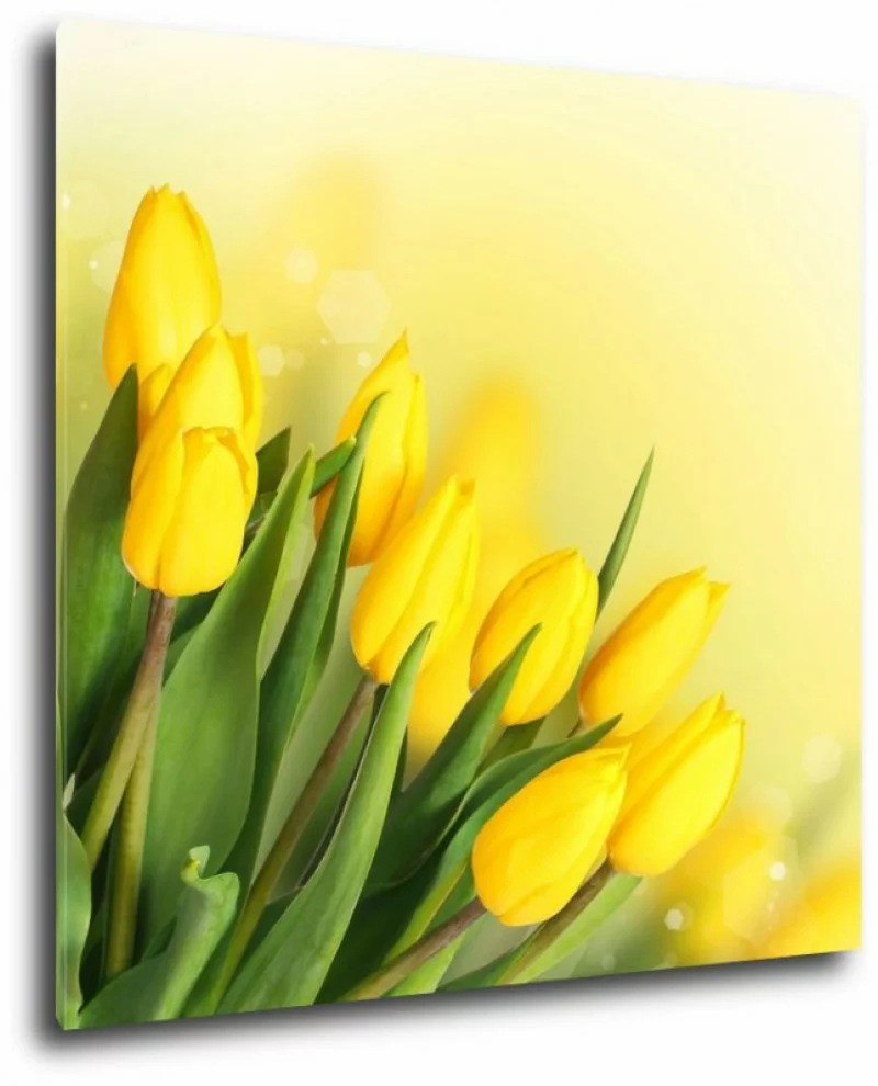 Obraz z tulipanami 50x50cm - obrazek 1