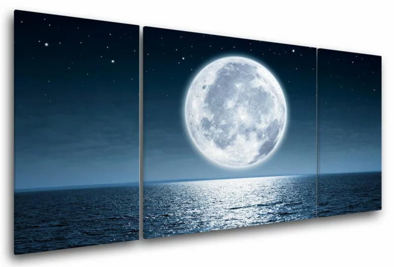 Pełnia księżyca - obraz na ścianę - obrazek 1