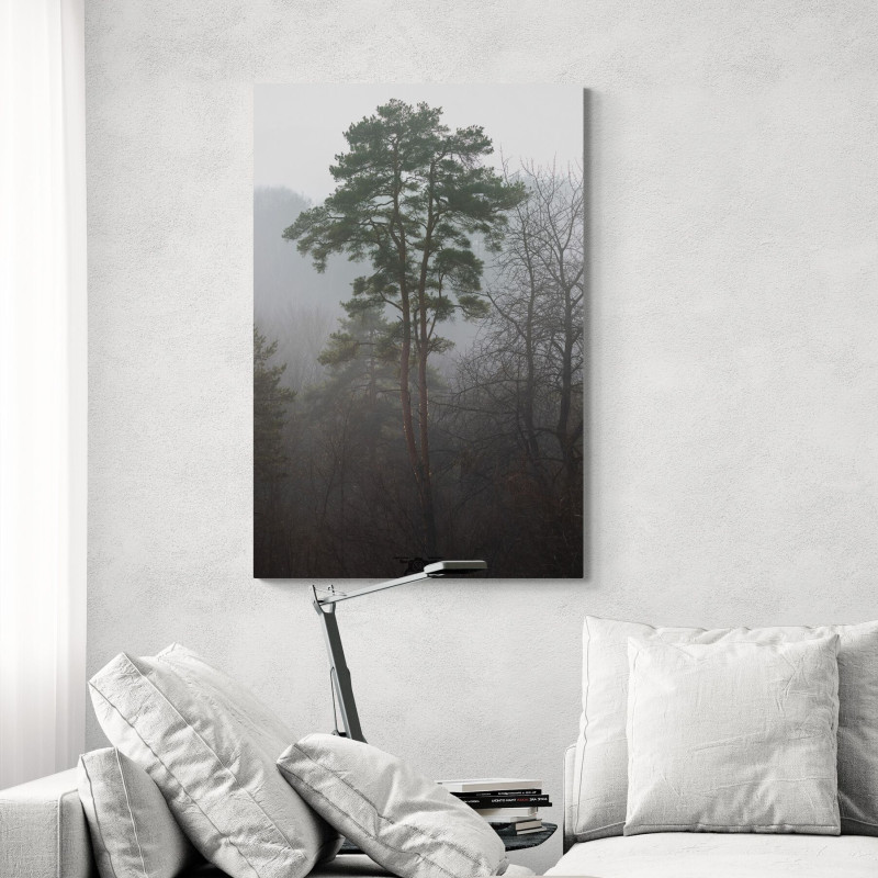 Obraz las sosnowy we mgle – tajemniczy krajobraz natury