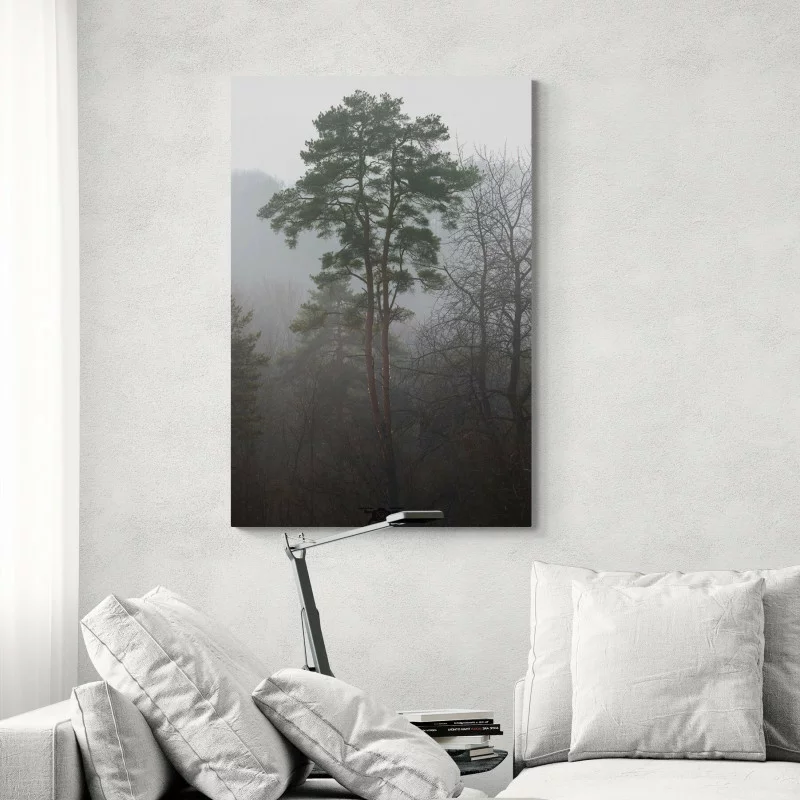 Obraz las sosnowy we mgle – tajemniczy krajobraz natury - obrazek 1