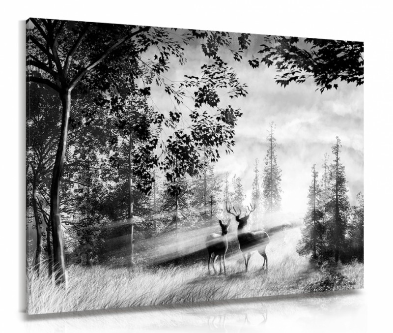 Obraz na plátne Jelene v lese čiernobiele