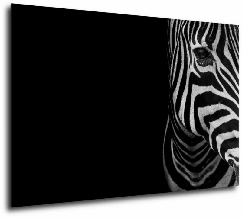 Obraz zebra - obrazek 1