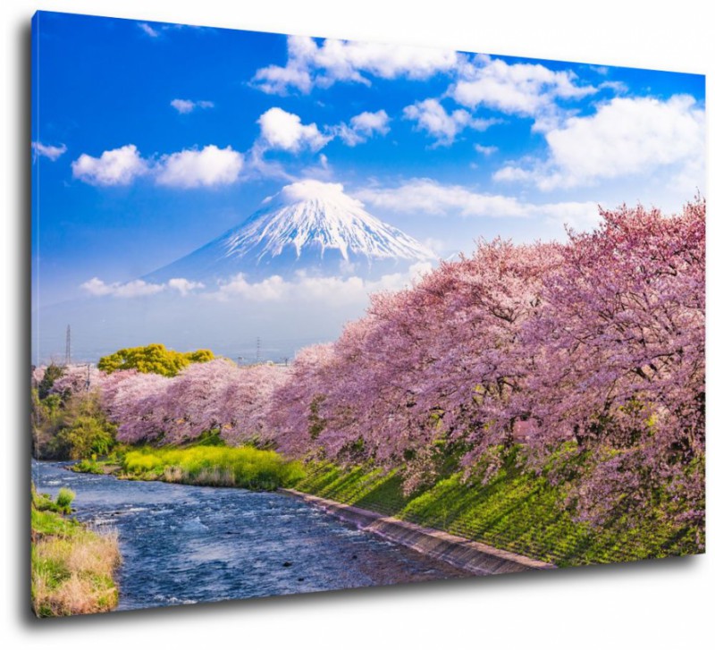 Obraz na plátne Hora Fuji