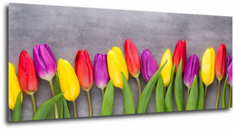 Obraz na plátne Farebné tulipány